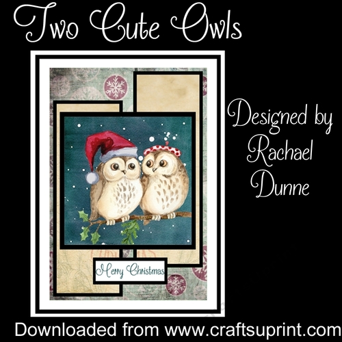 Two Cute Owls Two Long Panels