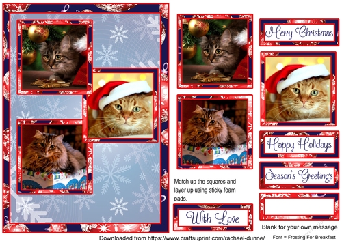 Christmas Kitties 3 Squares