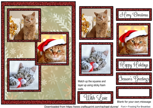 Glittery Christmas Kitties