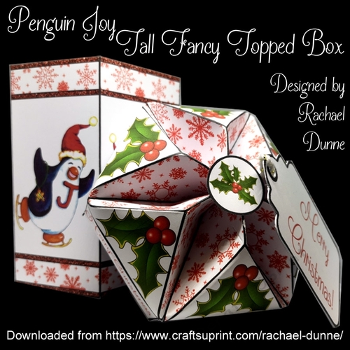 Penguin Joy Tall Fancy Topped Box
