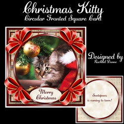 Christmas Kitty Circular Fronted Square