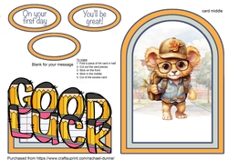 Good Luck Little Lion