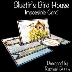 Bluetits Bird House Impossible Card