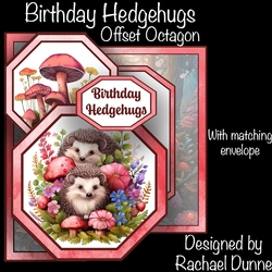 Birthday Hedgehugs Offset Octagon Foldback