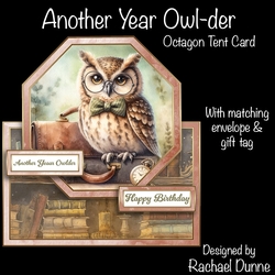 Another Year Owl-der Octagon Tent Card