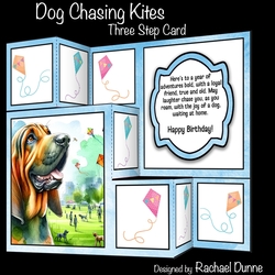 Dog Watching Kites Three Step Card