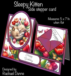 Sleepy Kitten Side Stepper