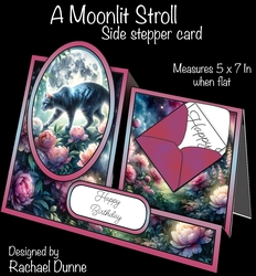 A Moonlit Stroll Side Stepper