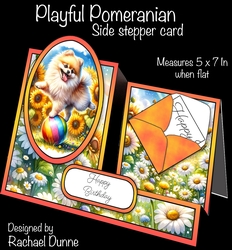 Playful Pomeranian Side Stepper