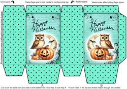 Moonlight Owl Mini Gift Bag