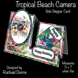Tropical Beach Camera Side Stepper Card