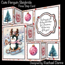Cute Penguin Sleighride Three Step Decoupage Mini Kit