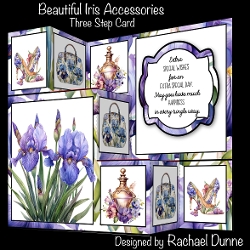 Beautiful Iris Accessories Three Step Mini Kit