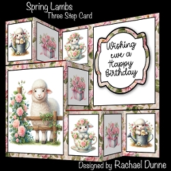 Spring Lambs Three Step Mini Kit