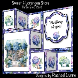 Sweet Hydrangea Store Three Step Mini Kit