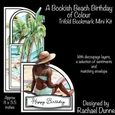 A Bookish Beach Birthday of Colour Tri-fold Bookmark Mini Kit