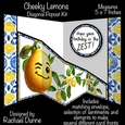 Cheeky Lemons Diagonal Popout Kit