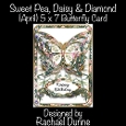 Sweet Pea, Daisy & Diamond (April) 5 x 7 Butterfly Card