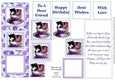 Purple Kitties in a Teacup (Happy Birthday)
