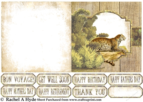 African Wildlife Leopard Card Sheet