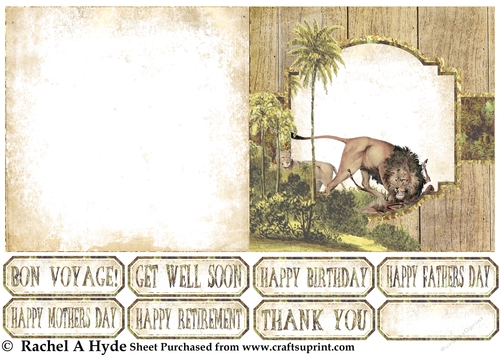 African Wildlife Lions Card Sheet