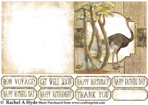 African Wildlife Ostrich Card Sheet