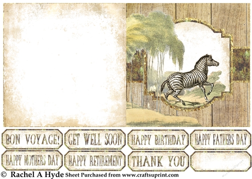 African Wildlife Zebra Card Sheet