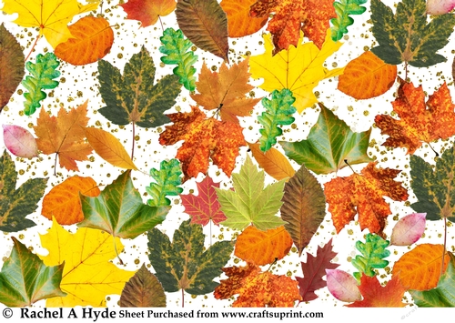 A Walk in the Woods - Autumn Leaves Background Sheet
