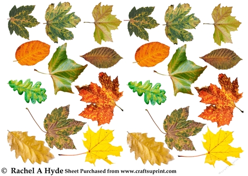 A Walk in the Woods Autumn Leaves Collage Sheet