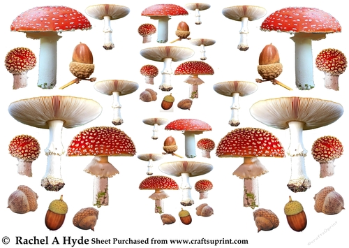 A Walk in the Woods Fungi & Acorns Collage Sheet
