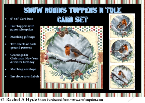 Snow Robins Toppers n Tole Card Kit