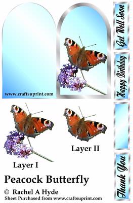 Peacock Butterfly Paper Tole Card