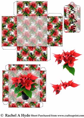 Poinsettia Square Box with Lid