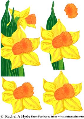 Daffodil Cutout Card