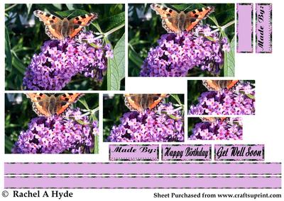 Small Tortoiseshell on a Buddleia Pyramid Card