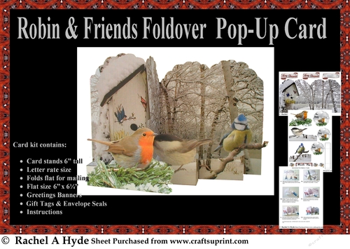 Robin & Friends Foldover Card