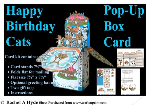 Happy Birthday Cats Pop Up Box Card
