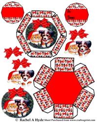 Pets Wreath Hexagon Box