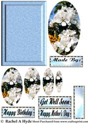 White Rhododendron Oval Pyramage Card