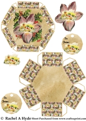Hellebore Hexagon Box