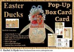 Easter Ducks Pop Up Box Card