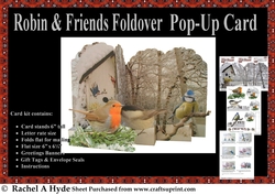 Robin & Friends Foldover Card