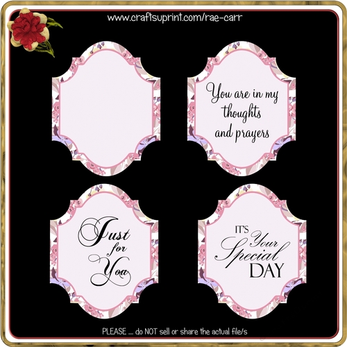 PNG 100 Toppers Pink Floral Set of 4