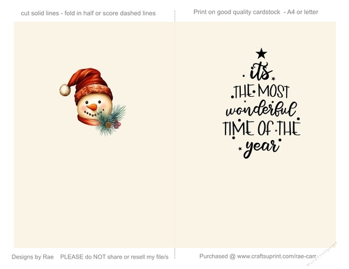 2408a Christmas Snowman with a Bird Insert