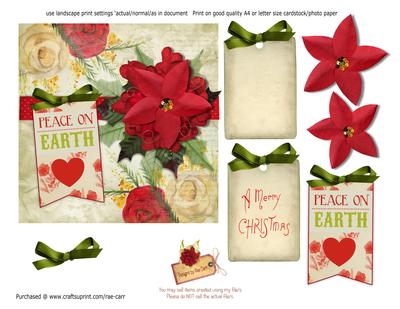 PS047 Poinsettia