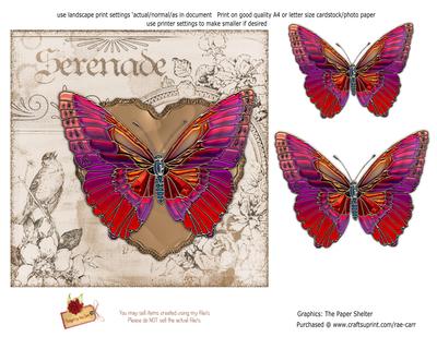 PS111 Butterfly Topper