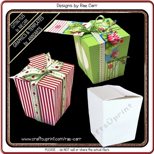 AA 001 Bucket Take Out Box