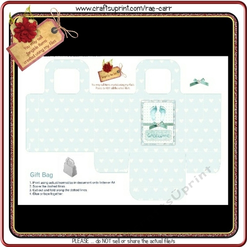 690 Baby Boy Bag