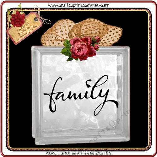 736 Family Glass Block Vinyl