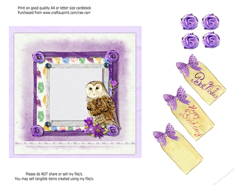 PS170 Purple Owl Topper or Card Front